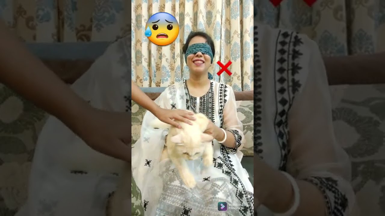 আমার বিড়ালদের আমি কতটা চিনি?চলেন পরীক্ষা হয়ে যাক।