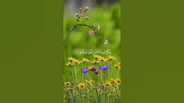تلاوة جميلة #للقارئ #رزكار_الكردي..متابعة للحساب بارك الله فيكم #ضع_بصمة #القرآن_الكريم #اكسبلور