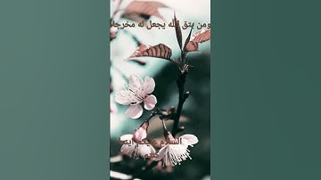 القرآن الكريم/سورة الكهف   القارئ الحاج عامر الكاظمي/اللهم صل وسلم على نبينا محمد