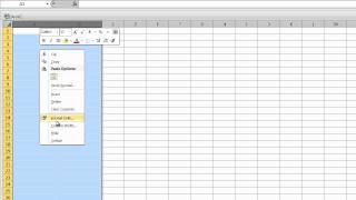 Celebrity Creating a File for Class List Import on D2L Profile