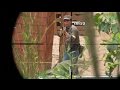 【HQ-db-】駄メサバ! Act.82:「Airsoft Sniper:4」
