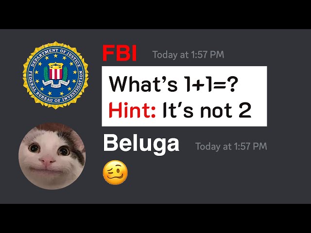 When Beluga Tries to Join the FBI... | Beluga vs FBI class=