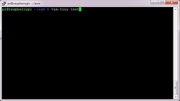 ARM Assembly - SUB and MUL.