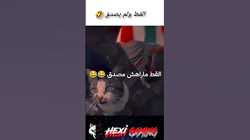 مغسي بوكو اكسبلور ضحك Funny Funk Soulfunk 
