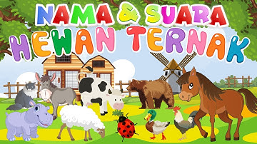 Belajar Nama Hewan dan Suara Kambing Singa Macan Burung Beruang Ayam Gajah Bebek Angsa Kudanil Kepi
