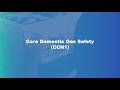 Kelly Energy Training - CCN1 Core Domestic Gas Safety qualification