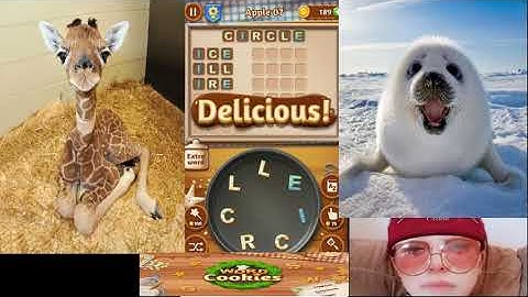 {Word Cookies} Celebrity chef - Apple level - Part 1 - Level 1 to 10 (celina mak official)