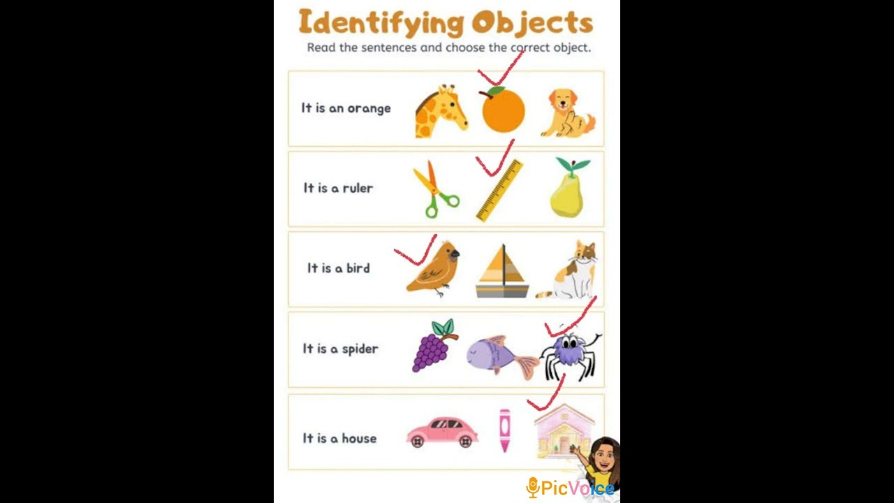 Identifying Objects