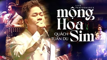 MỘNG HOA SIM - QUÁCH TUẤN DU ( Cover ) THIÊN TÚ || Chuyện Hoa Sim Bên Lưng Đồi