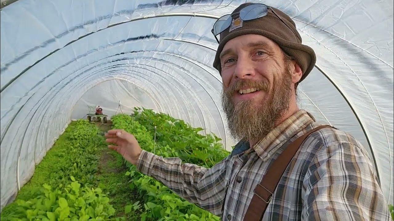 market-garden-desiel-greenhouse-heater-this-is-what-the-pros-use