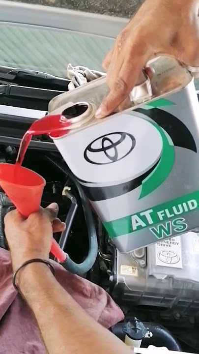 ATF WS Transmission fluid #ws #gearoil #gear #fluid #transmission #aqua #hybrid #oil #tag #auto #yt
