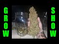 Why I don't pH my water as an organic grower - Photosyntech Grow Show Ep. 6