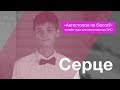 Серце – Підготовка до ЗНО – Біологія