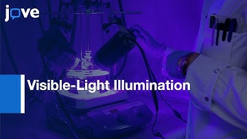 Preparation Of Silver-Palladium Alloyed Nanoparticles For Plasmonic Catalysis l Protocol Preview