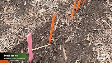 Evaluating Emergence