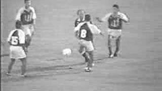 referee fights back