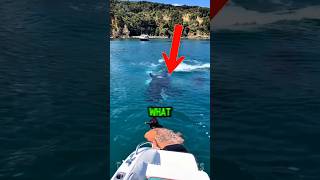 This animal can trap you before you escape 😳