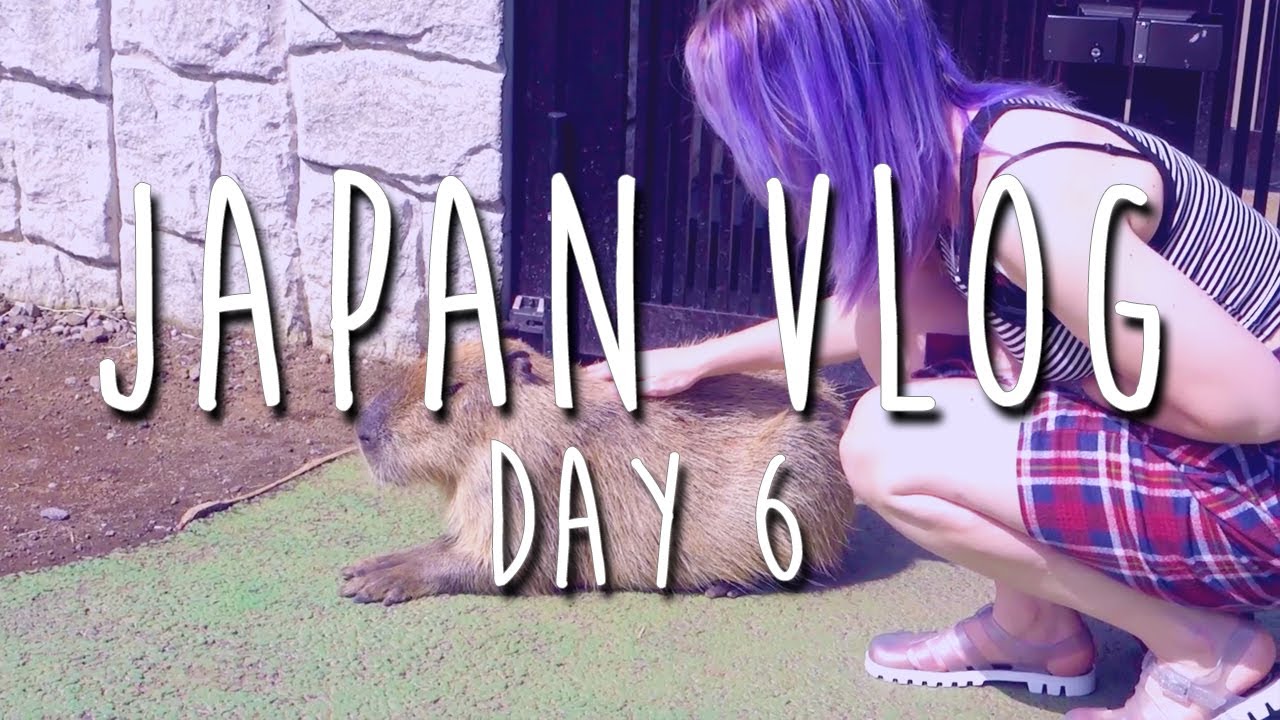 Petting Capibara's! | Japan day 6