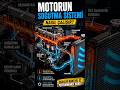 Motorun Soğutma Sistemi Nasıl Çalışır? | Radyatör ve Termostatın Görevi