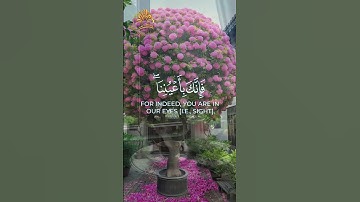 🌾💛 تلاوة مباركة 💛🌾 واصبر لحكم ربك فإنك بأعيننا 🌾💛القارئ الشيخ عبد الباسط عبد الصمد رحمة الله عليه 💛🌾
