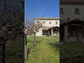 Convento Bosco ai Frati (Mugello)
