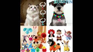 Halloween-themed pet party