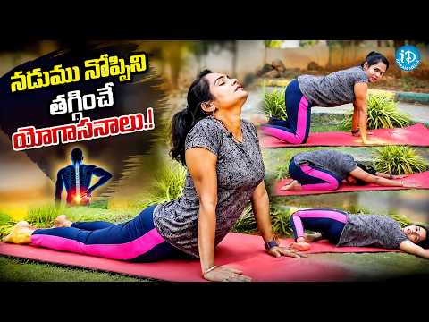 నడుము నొప్పిని తగ్గించే 5 యోగాసనాలు.! 🧘‍♂️ | Back Pain | iDream