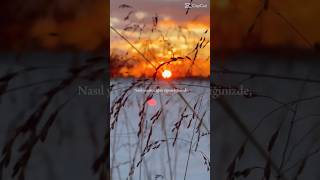 HIZLI GEÇEN GENÇLİK🫶#sst #million #cines #krop #mezii #krishna #soup #messi #keşfet #bliss #asmr
