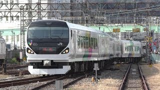【横須賀線】団体列車E257系松本車9両M-105編成 2018.11.18