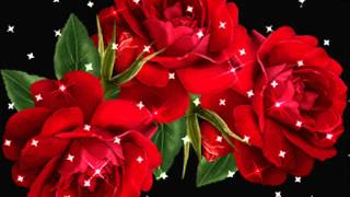 Kau Pilihan Terbaikku