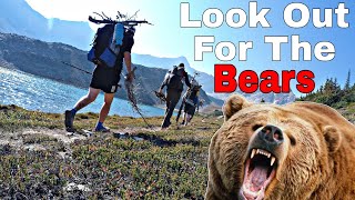 Would A Grizzly Encounter Ruin A 6 Day Backpacking Trip To Coral Lake & Job Pass? by Matty Outdoors 1,331 views 7 months ago 17 minutes