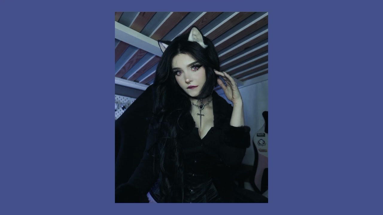 GATA FIERA | SPEED UP