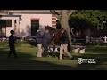 Watch Equus Champion  2-year-old Cousin Casey gallop at HWB Kenilworth with Grant van Niekerk