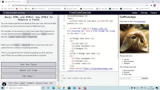 21st Tutorial - required attribute - free code camp (Explained)