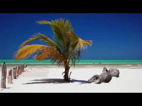 DEEP HOUSE - SUMMER REMIX 2026
