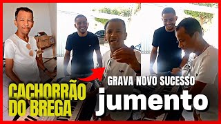📀 CACHORRÃO DO BREGA, LANÇA NOVA MÚSICA - 'JUMENTO'