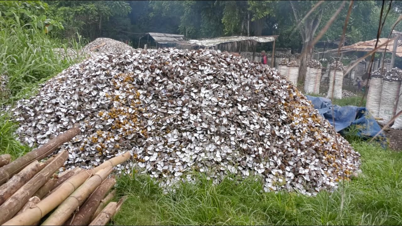 LE CAMEROUN, COMME IL VA ... 