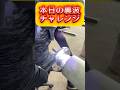 【9月21日の裏波溶接】#tig溶接 #tigwelding #welding #welder #weld #配管 #職人 #shorts #arcwelding #アーク溶接