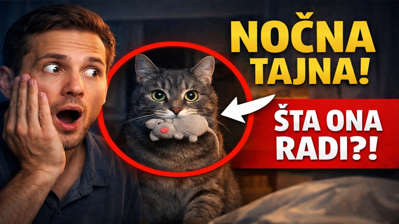 RAZOTKRIVANJE NOĆNIH TAJNI: Ona ČUDNA stvar koju vaša mačka radi.