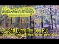 The Whitetail Rut. Where do they go during the day?