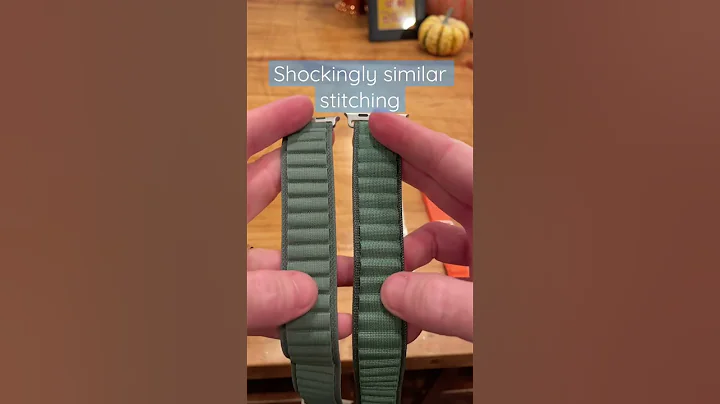 $100 vs $3 Apple Watch Ultra Band - Alpine Loop