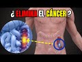 ¿Comida ANTICÁNCER? Alimentos que Ayudan a Combatir el Cáncer
