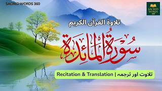 Surah Al-Ma'idah (ٱلمائدة), by Yousaf Nooh, | Heart touching, #talawatquran, #QuranRecitation,
