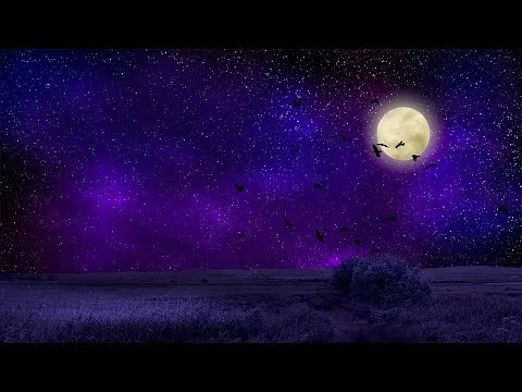 LIVE STREAM LOFI HIPHOP CHILL VIBE STUDY BEATS