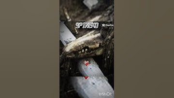 SCP-682 "Hard To Destroy Reptile #mspineko #fypage #fypp #scp #scpfoundation #scp682 #crocodile