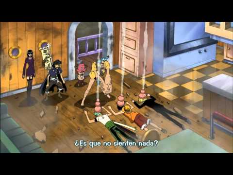 Despertar de Luffy, Zoro y Sanji