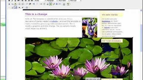 WEB-SET.COM: How to insert a picture