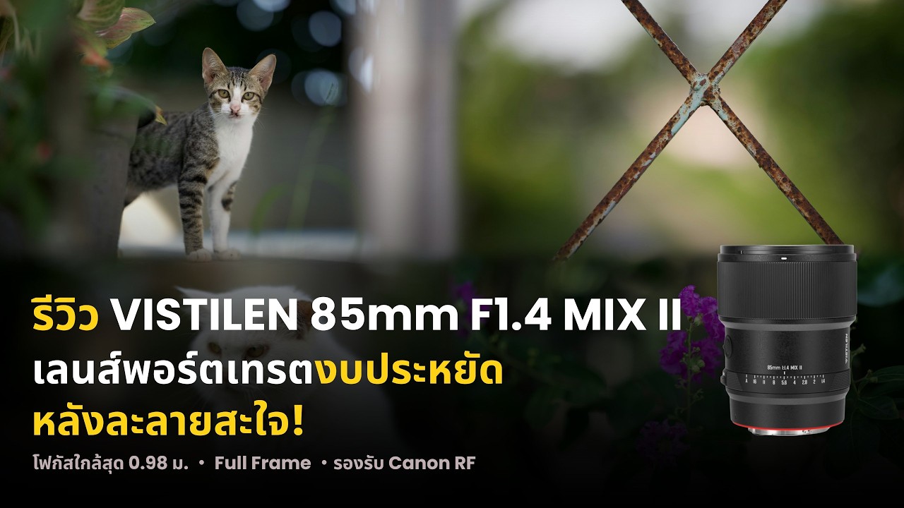 VISTILEN 85mm F1.4 MIX II Review: An Affordable Portrait Lens with