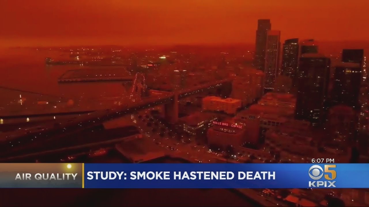 Study Bay Area's Prolonged Bad Air Quality Was Deadly For Vulnerable