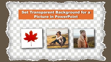 Set Transparent Background for a Picture in  PowerPoint